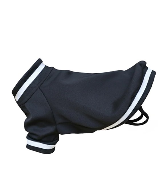 Dog?s varsity jacket