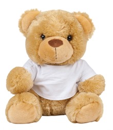 Bear in a t-shirt